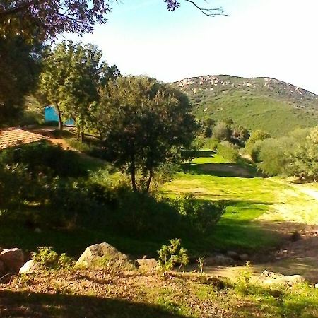 Farm Stay Gli Oleandri Loiri Porto San Paolo Zewnętrze zdjęcie
