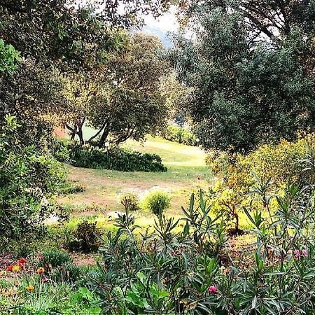 Farm Stay Gli Oleandri Loiri Porto San Paolo Zewnętrze zdjęcie
