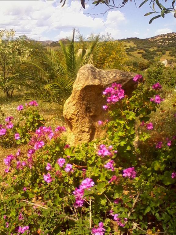 Farm Stay Gli Oleandri Loiri Porto San Paolo Zewnętrze zdjęcie