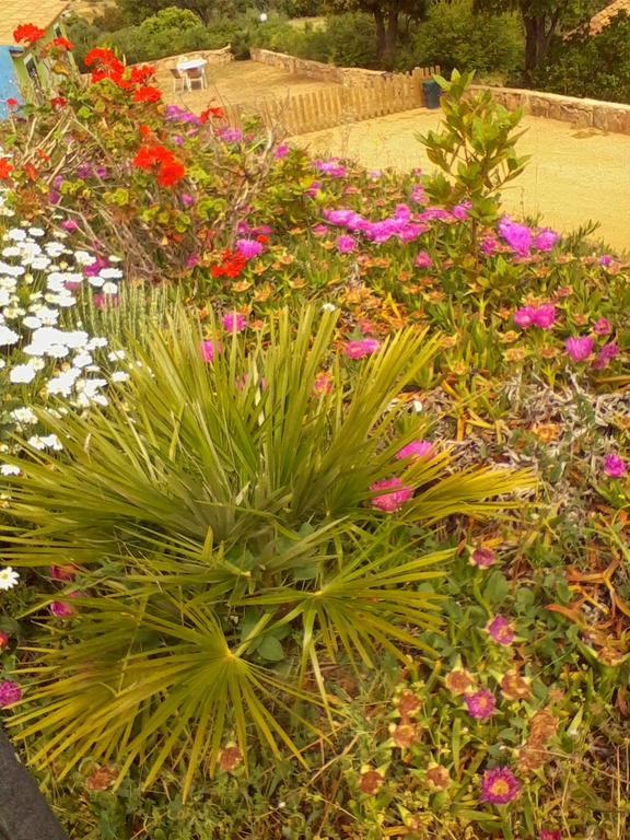 Farm Stay Gli Oleandri Loiri Porto San Paolo Zewnętrze zdjęcie