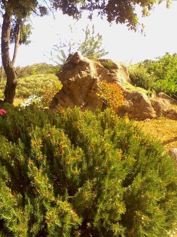 Farm Stay Gli Oleandri Loiri Porto San Paolo Zewnętrze zdjęcie