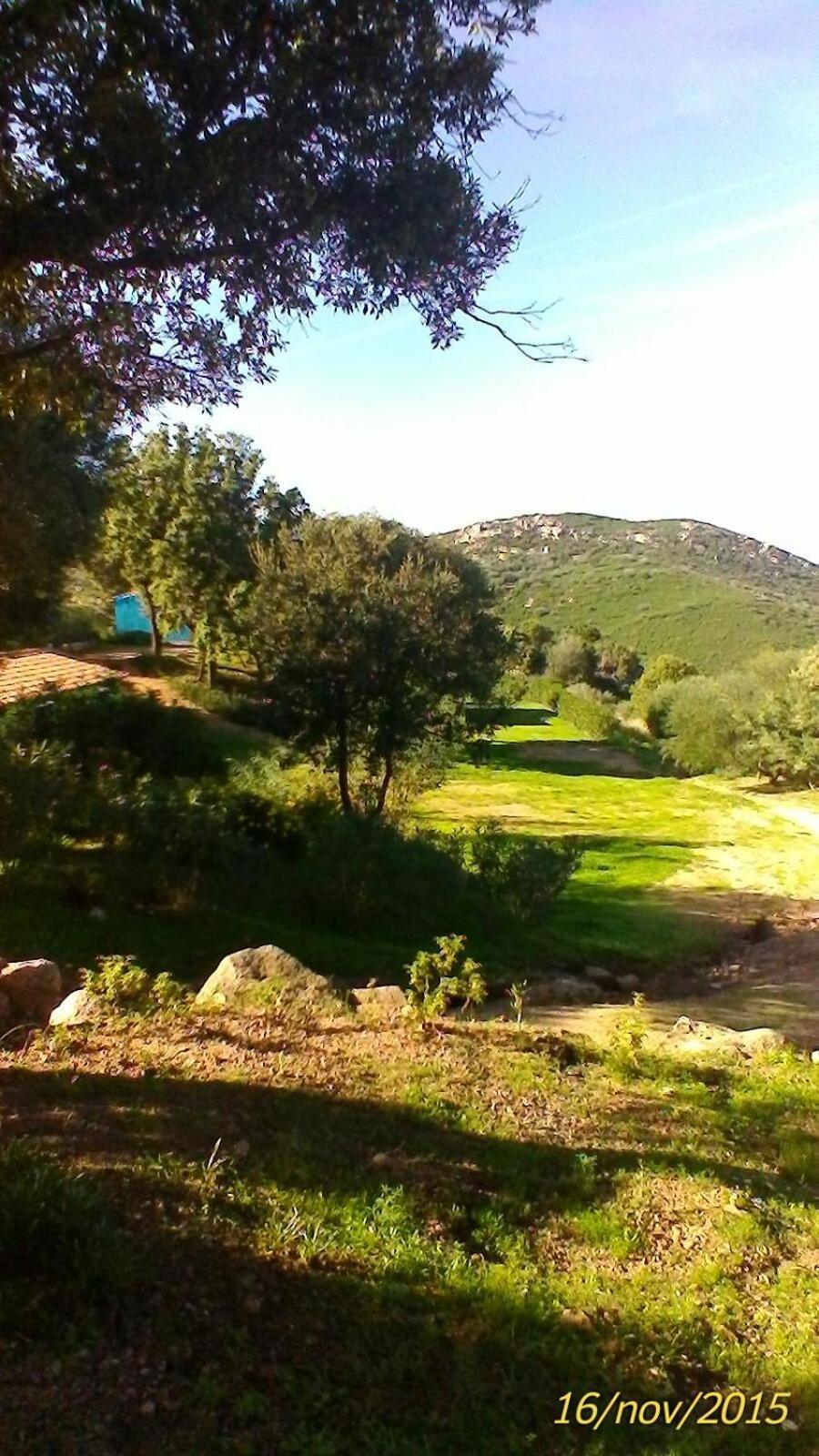 Farm Stay Gli Oleandri Loiri Porto San Paolo Zewnętrze zdjęcie