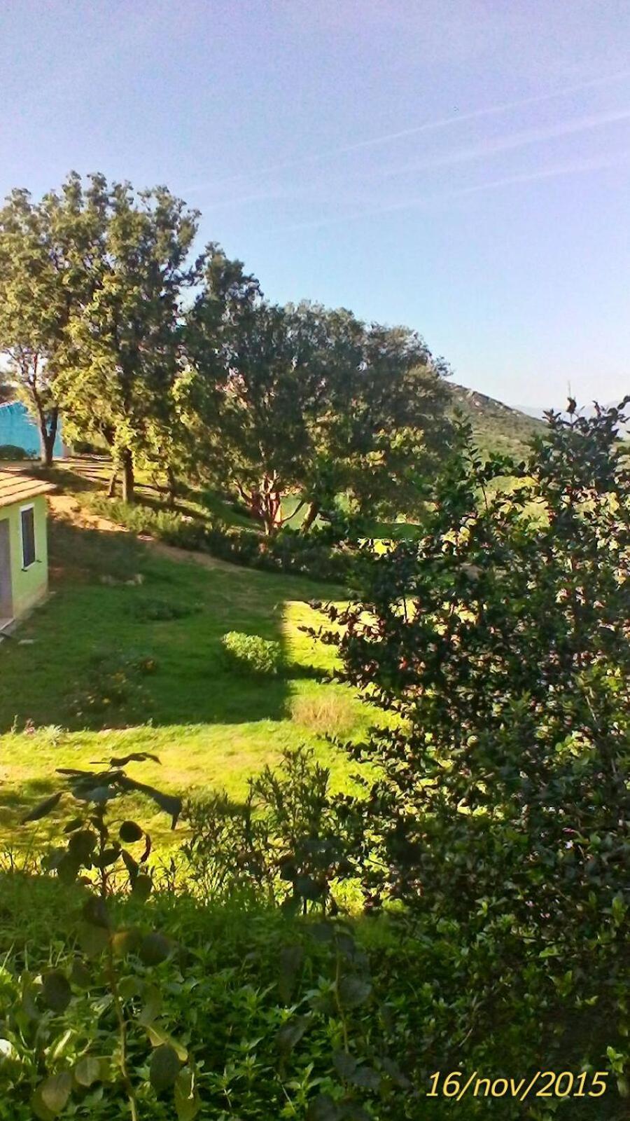 Farm Stay Gli Oleandri Loiri Porto San Paolo Zewnętrze zdjęcie