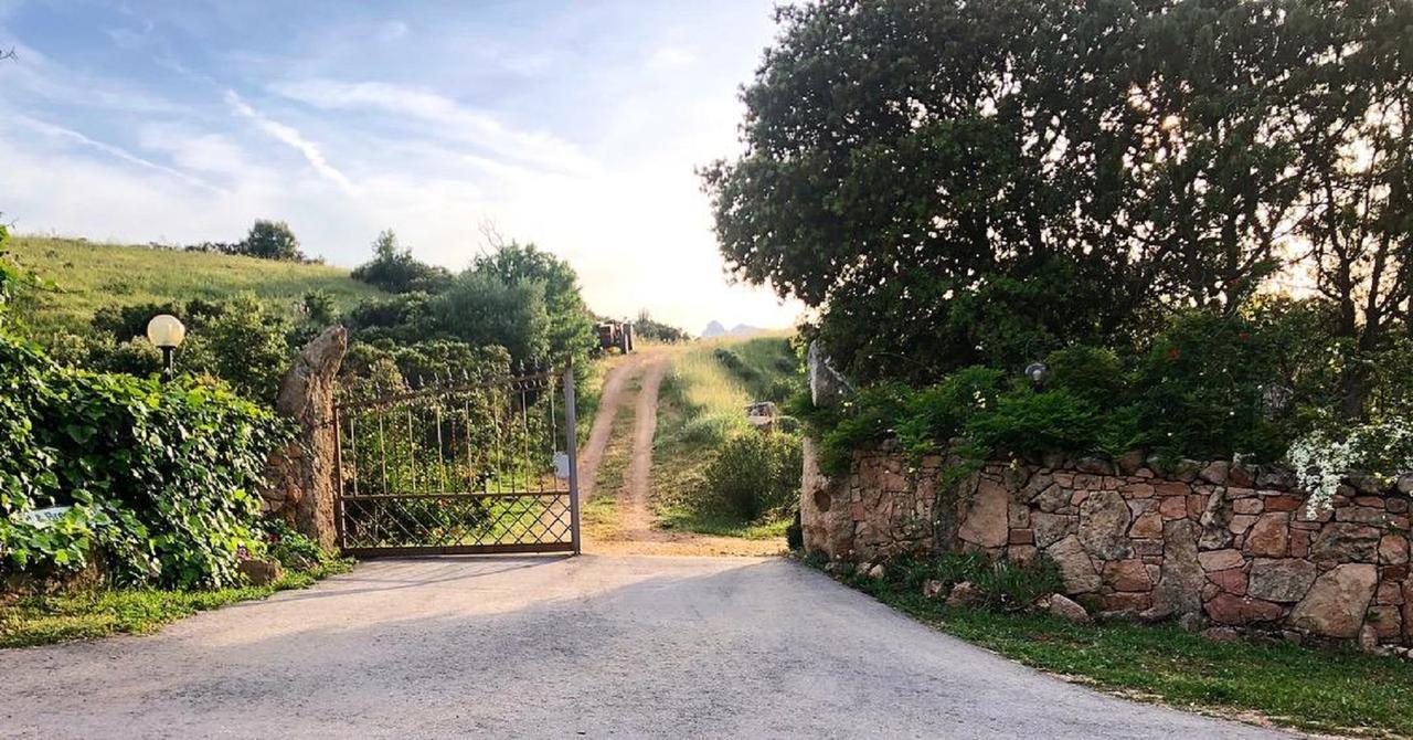 Farm Stay Gli Oleandri Loiri Porto San Paolo Zewnętrze zdjęcie