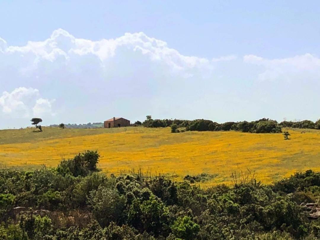 Farm Stay Gli Oleandri Loiri Porto San Paolo Zewnętrze zdjęcie